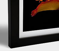 frame3 copy.jpg