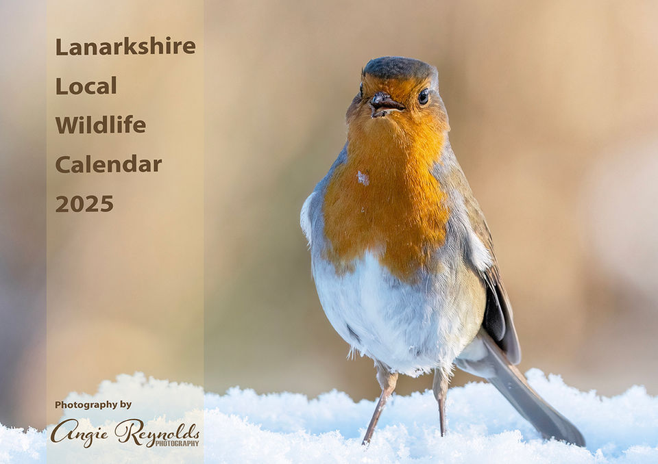 Lanarkshire Local Wildlife Calendar 2025