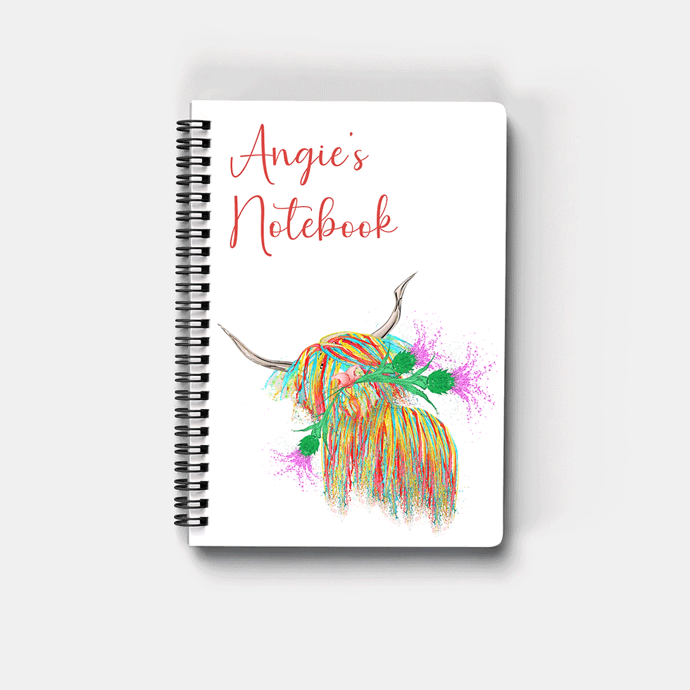Thumbnail: Notebooks