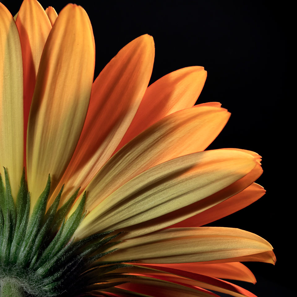 DSC09455 copyweb.jpg