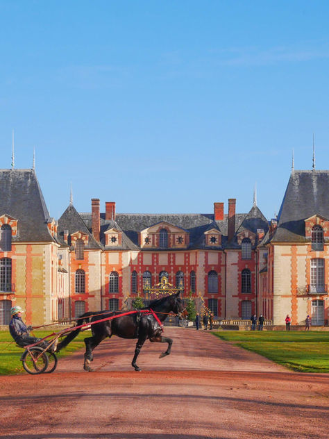 NOS IDÉES DE SORTIES DANS LE VAL-DE-MARNE