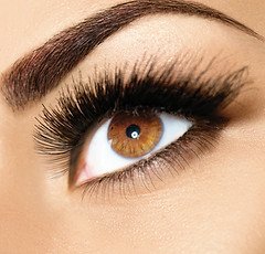 Yeux marrons
