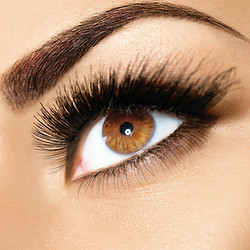 Brown Eyes