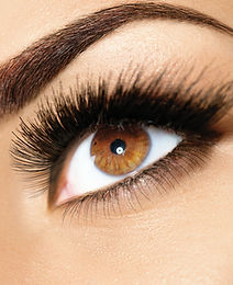 Yeux marrons
