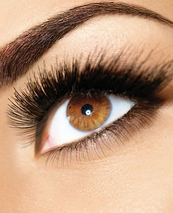 woman with beautiful eyelashes and brows