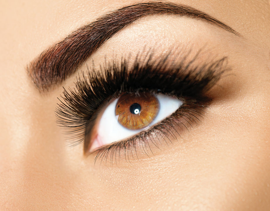 Beautician eyebrow shaping, eyelashes in beauty training course 
