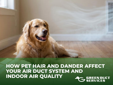 Golden retriever lying on a hardwood floor near a wall vent with airflow graphics, promoting a Green Duct Services blog about how pet hair and dander affect air duct systems and indoor air quality.