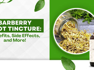 Barberry Root Tincture: Benefits, Side Effects, and More!