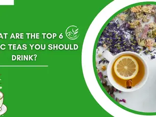 What Are The Top 6 Organic Teas You Should Drink? 