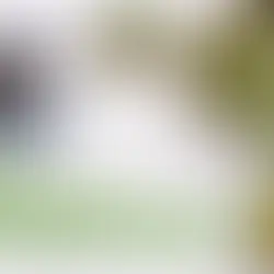 Artichoke Extract Benefits for Liver Health and Weight Loss