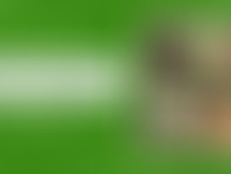 What Is The Use Of Andrographis Extract? Who Should Not Use It?