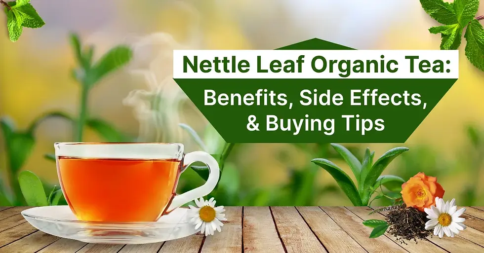 Nettle Leaf Organic Tea
