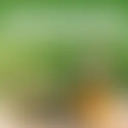 Damiana Leaf Extract: A Natural Way to Enhance Libido