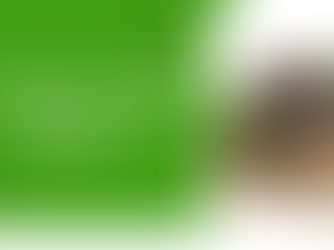 Clove Extract: Uses, Benefits and Side Effects