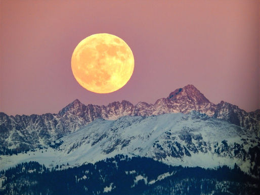 Guild Guide - April 2024