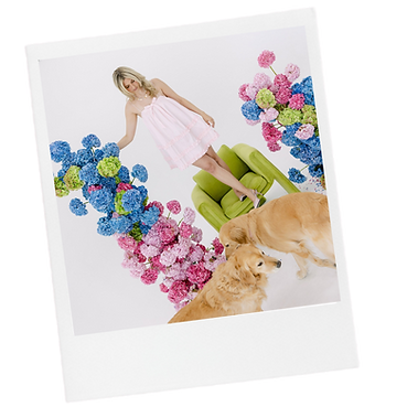 Untitled design (4).png