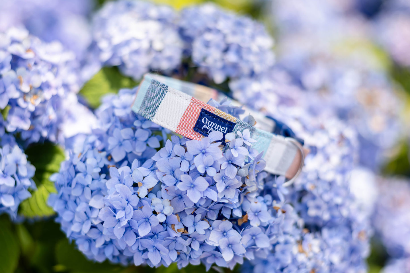 Lifestyle branding photographer for coaches, Brand photography for real estate agents Florida,Creative branding photographer for wellness brands, Personal brand photographer for influencers, Branding photos for service-based businesses, Female entrepreneur brand photographer Massachusetts, Natural light brand photography Florida, Editorial branding photography Boston, Clean and modern brand photographer, Vero Beach, Sebastian, Best branding photographer in Florida, Personal branding photographer near Boston, Professional brand photography for creatives, Business headshots and branding sessions Massachusetts, Looking for a brand photographer in Cape Cod, Affordable branding photography packages Florida, Where to get brand photos in Massachusetts, Creative content photographer for personal brands, Personal brand photo shoot in Miami, Small business branding photographer in New England