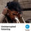 Thumbnail: SENNHEISER HD 560 S Over-The-Ear Audiophile Headphones - Neutral Frequency Resp