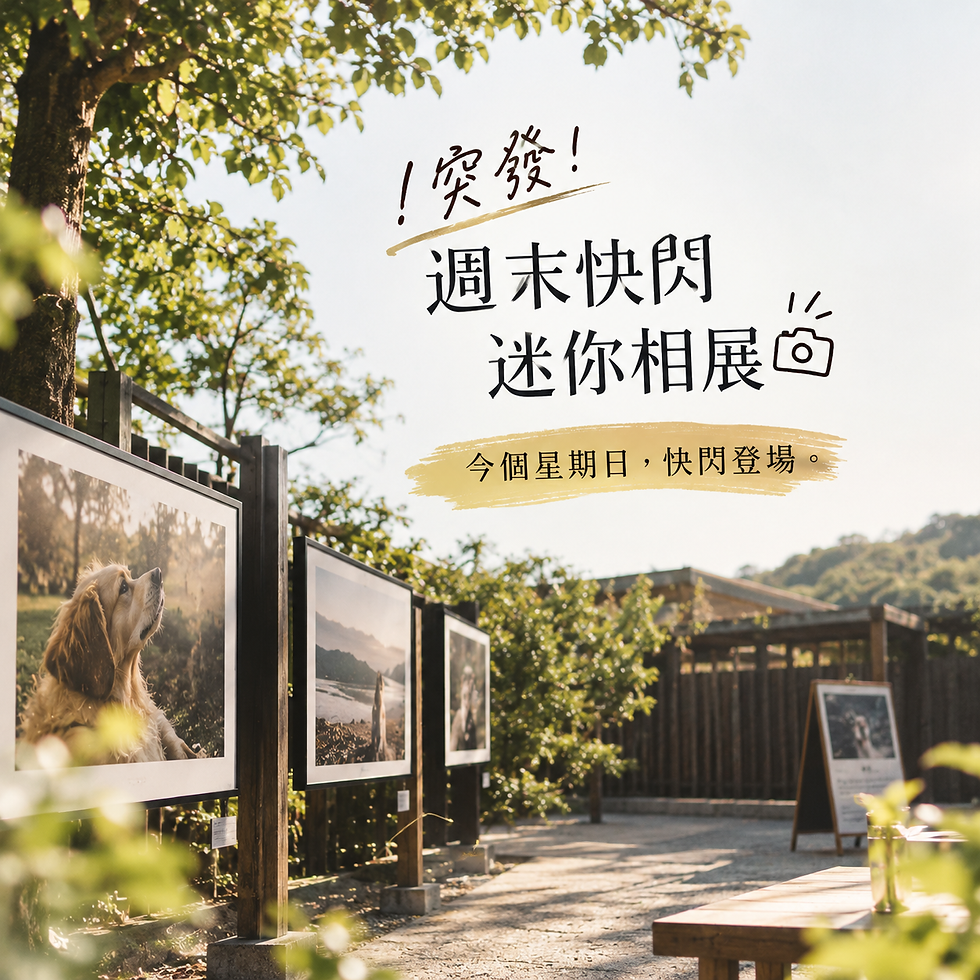 ICAP 師生相展(浪浪)