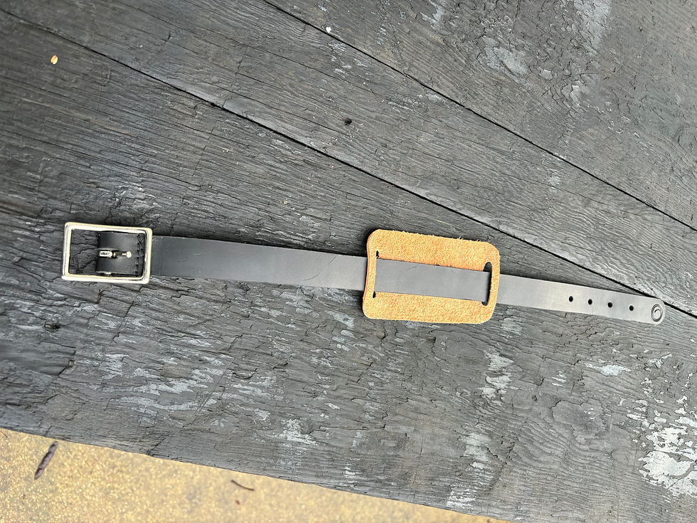 Thumbnail: The Belt