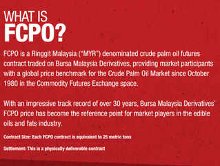 Futures Crude Palm Oil (FCPO)