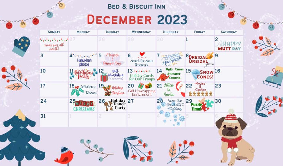 Doggy Daycare Bed & Biscuit Inn Howland, Ohio