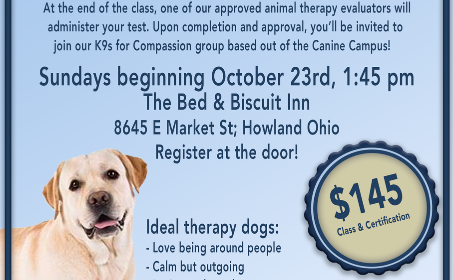 Doggy Daycare Bed & Biscuit Inn Howland, Ohio