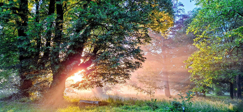 Le silence: une pause de reconnexion à soi-même en conscience