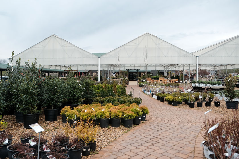 Contact Us Woodstock Gardens