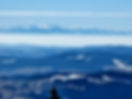 20220309_103931.jpg