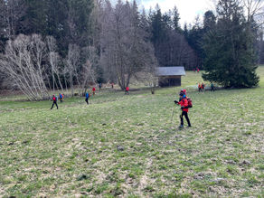 Suchaktion im Bereich des Laudachsees