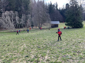 Suchaktion im Bereich des Laudachsees