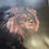 Thumbnail: lion wall art