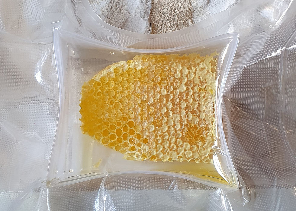 Miniature : Miel de printemps en rayon 487 (g)