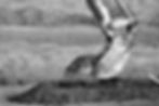 Backhoe_4_edited.jpg