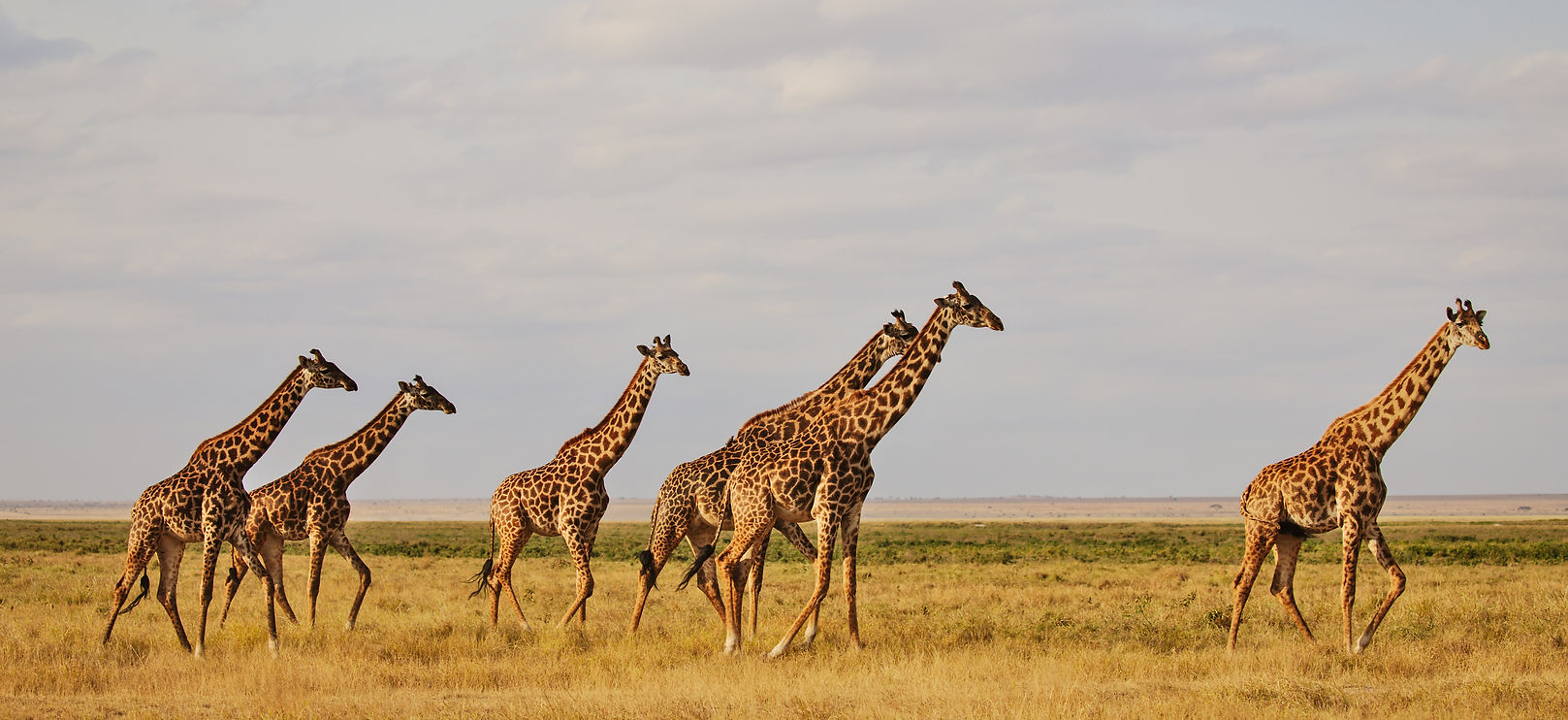 Boost starter page.jpg