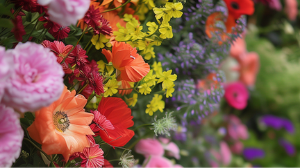 The Chelsea Flower Show 2026