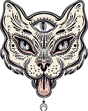 Cat with Third Eye