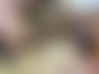どにちWITH「幼稚園の先生とあそぼう」