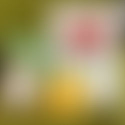 4/13(木)リトミックタイム♫