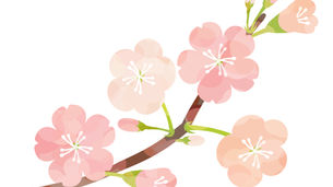 3/19(木)KADODEの日