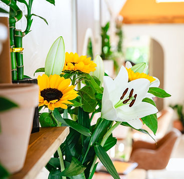 The Mount Hair Collective