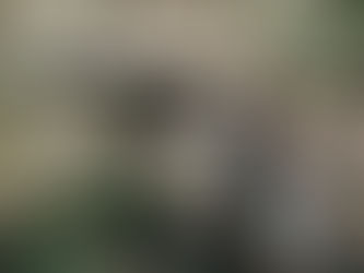 hääpari hääkuvauksessa suutelemassa koskessa