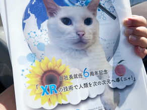 猫と私たちの会社『知識と言語壁を超える』