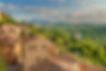 Tuscany Countryside View