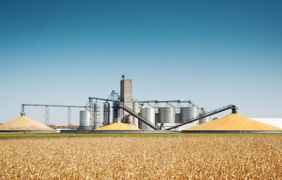 Grains Allocation and exports