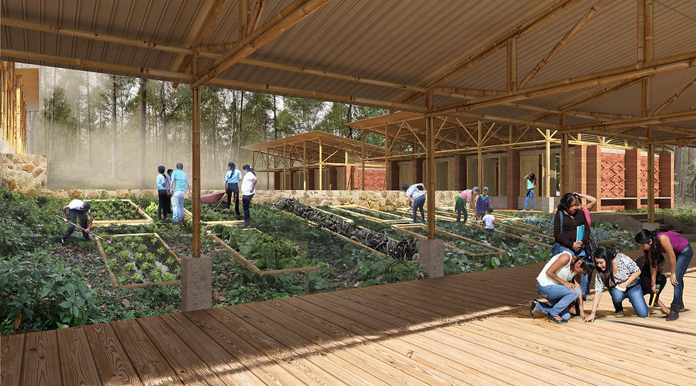 Escuela Rural Productiva - Arquine