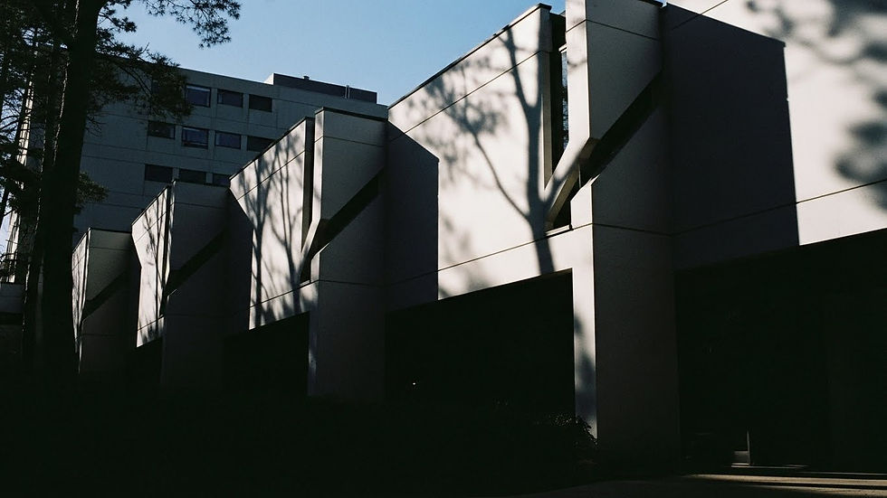 Edificio moderno blanco con sombras de árboles proyectadas. Cielo azul claro y árboles en el fondo crean un ambiente sereno y contrastante.