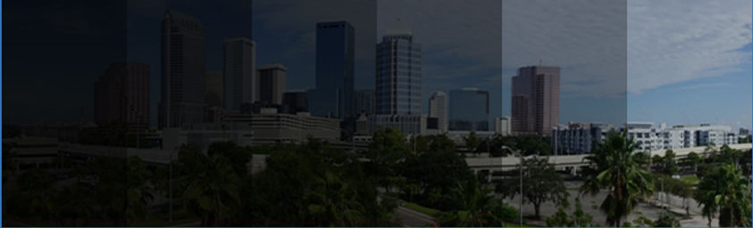 Tinting in Wesley Chapel, Florida