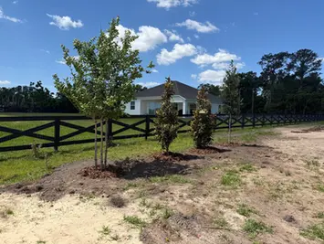 Newly planted trees in front of a house with a fence.